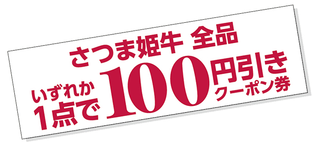 100円引きクーポン券