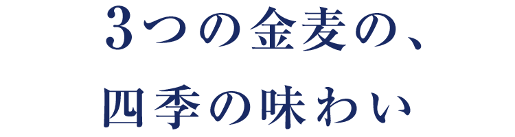 3つの金麦の、四季の味わい