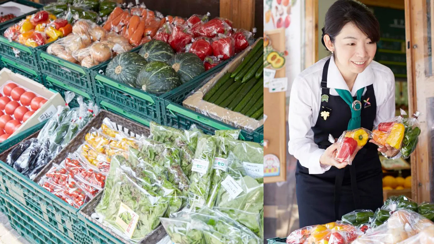 「いろんな色が並ぶ食卓は栄養バランスも◎」のイメージ