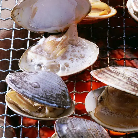 旬の食材・はまぐりの写真