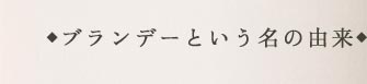 ブランデーという名の由来