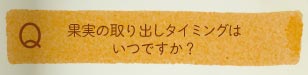 果実の取り出しタイミングはいつですか？