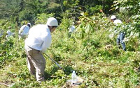 従業員の森林整備研修
