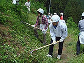 従業員による「天然水の森」での下草刈りの様子