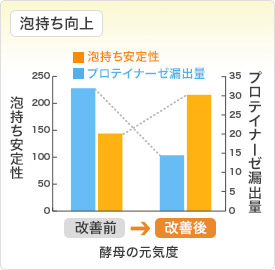 泡持ち向上の図