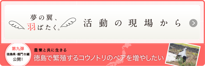 夢の翼、羽ばたく、活動の現場から