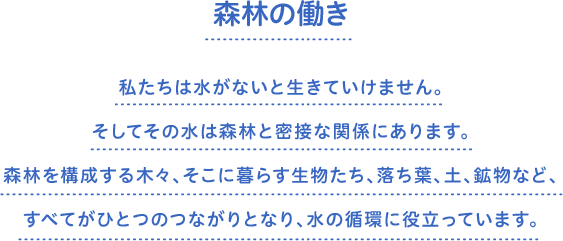 森林の働き　私たちは水がないと生きていけません。そしてその水は森林と密接な関係にあります。森林を構成する木々、そこに暮らす生物たち、落ち葉、土、鉱物など、すべてがひとつのつながりとなり、水の循環に役立っています。