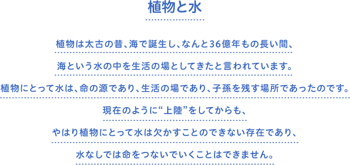 植物と水　植物は太古の昔、海で誕生し、なんと36億年もの長い間、海という水の中を生活の場としてきたと言われています。植物にとって水は、命の源であり、生活の場であり、子孫を残す場所であったのです。現在のように“上陸”をしてからも、やはり植物にとって水は欠かすことのできない存在であり、水なしでは命をつないでいくことはできません。