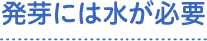 発芽には水が必要