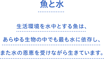 魚と水　生活環境を水中とする魚は、あらゆる生物の中でも最も水に依存し、また水の恩恵を受けながら生きています。