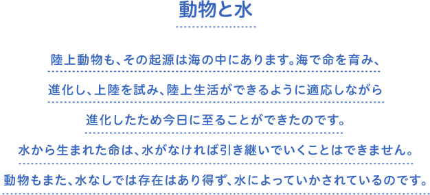 動物と水　陸上動物も、その起源は海の中にあります。海で命を育み、進化し、上陸を試み、陸上生活ができるように適応しながら進化したため今日に至ることができたのです。水から生まれた命は、水がなければ引き継いでいくことはできません。動物もまた、水なしでは存在はあり得ず、水によっていかされているのです。