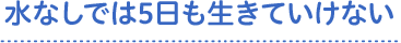 水なしでは5日も生きていけない