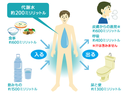 体から出ていく水、入る水