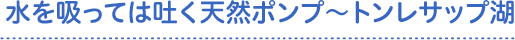 水を吸っては吐く天然ポンプ～トンレサップ湖