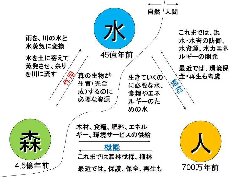 水はすべての生命の源～はるか昔から今に続く森と水の関係