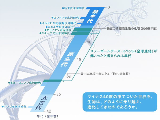 全球凍結と生物進化の謎