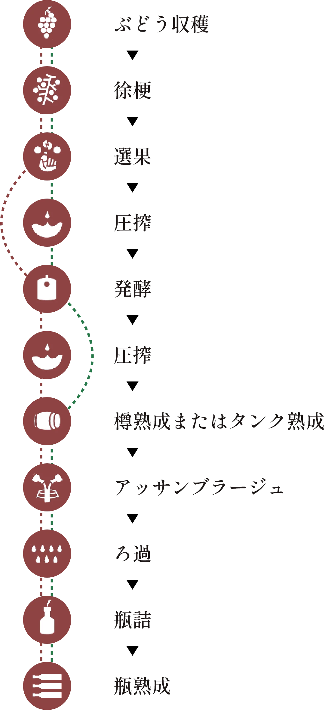 ワインの製造工程