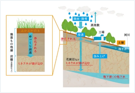 大きな大きなろ過装置