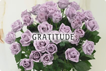 Gratitude 感謝