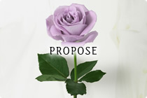 Propose プロポーズ