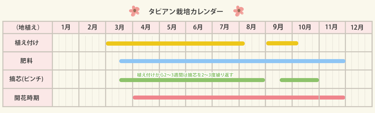 タピアンの栽培カレンダー