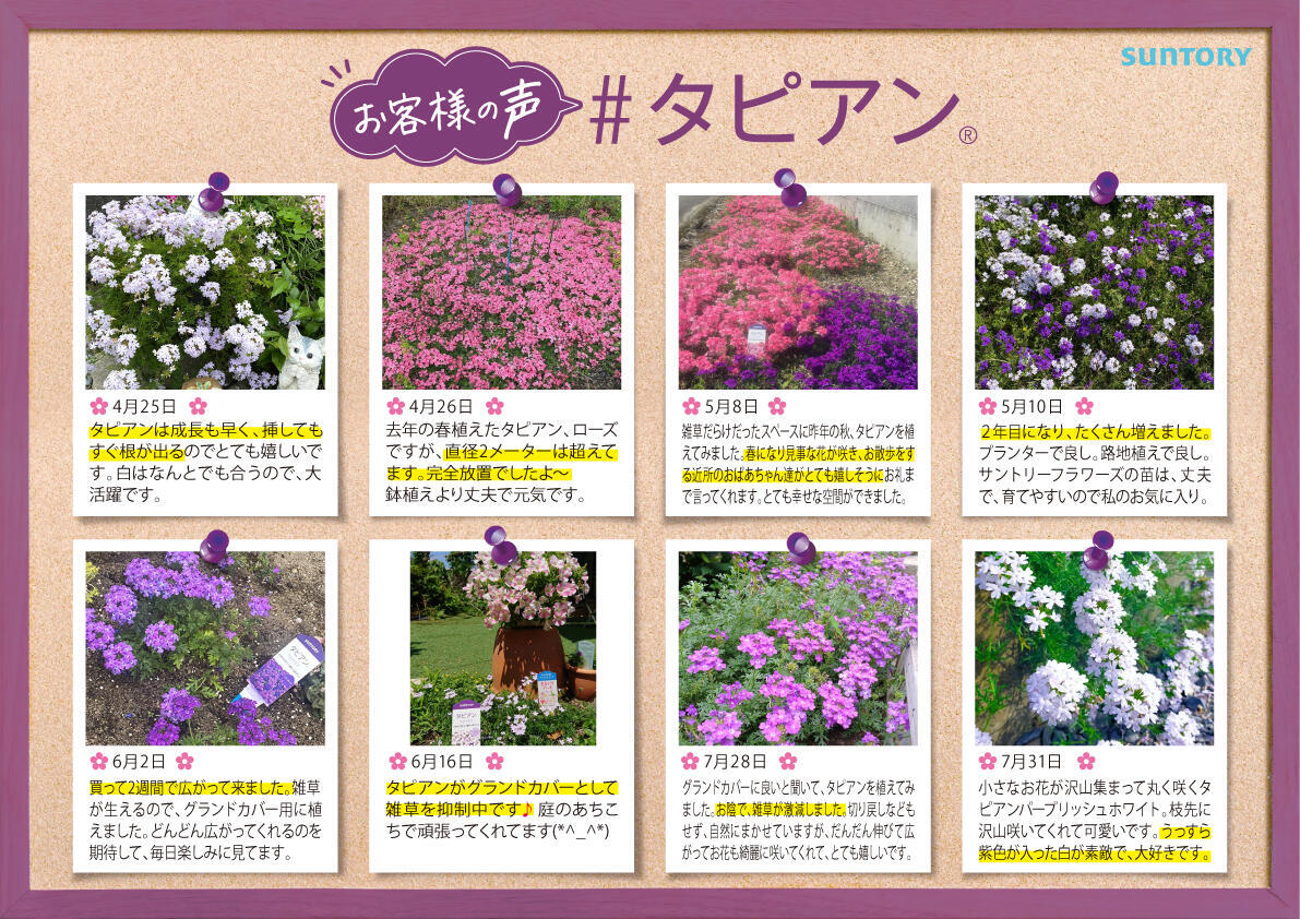 タピアンお客様の声