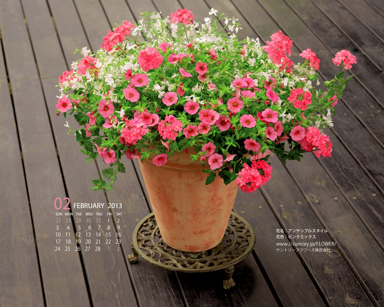 壁紙カレンダー2月 デジタルおまけ 花のある暮らし ガーデニング 園芸 サントリーフラワーズ