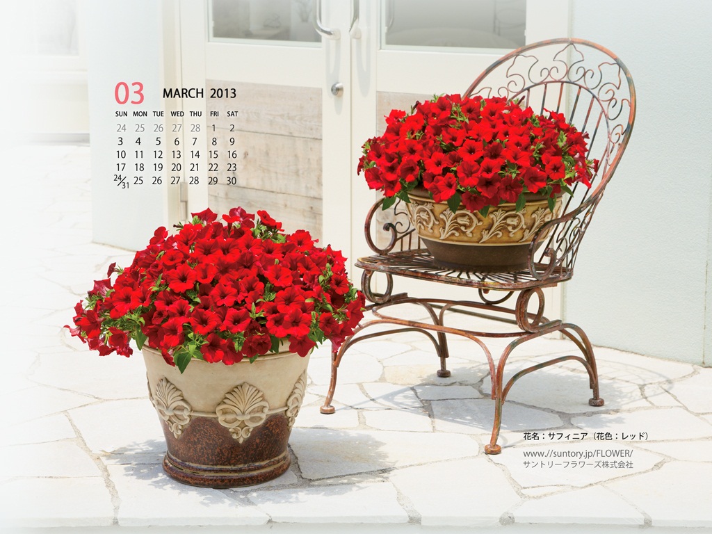 壁紙カレンダー3月 デジタルおまけ 花のある暮らし ガーデニング 園芸 サントリーフラワーズ