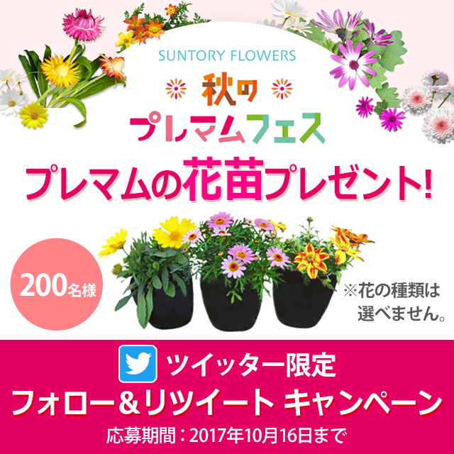 ツイッター限定  プレマムの花苗3ポットをプレゼント フォロー＆リツイートキャン―ペン 応募期間：2017年10月16日まで