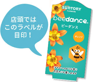 ビーダンス花苗のラベル