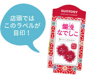 爛漫なでしこ花苗のラベル