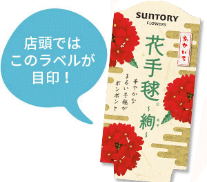 花手毬~絢(あや)~花苗のラベル