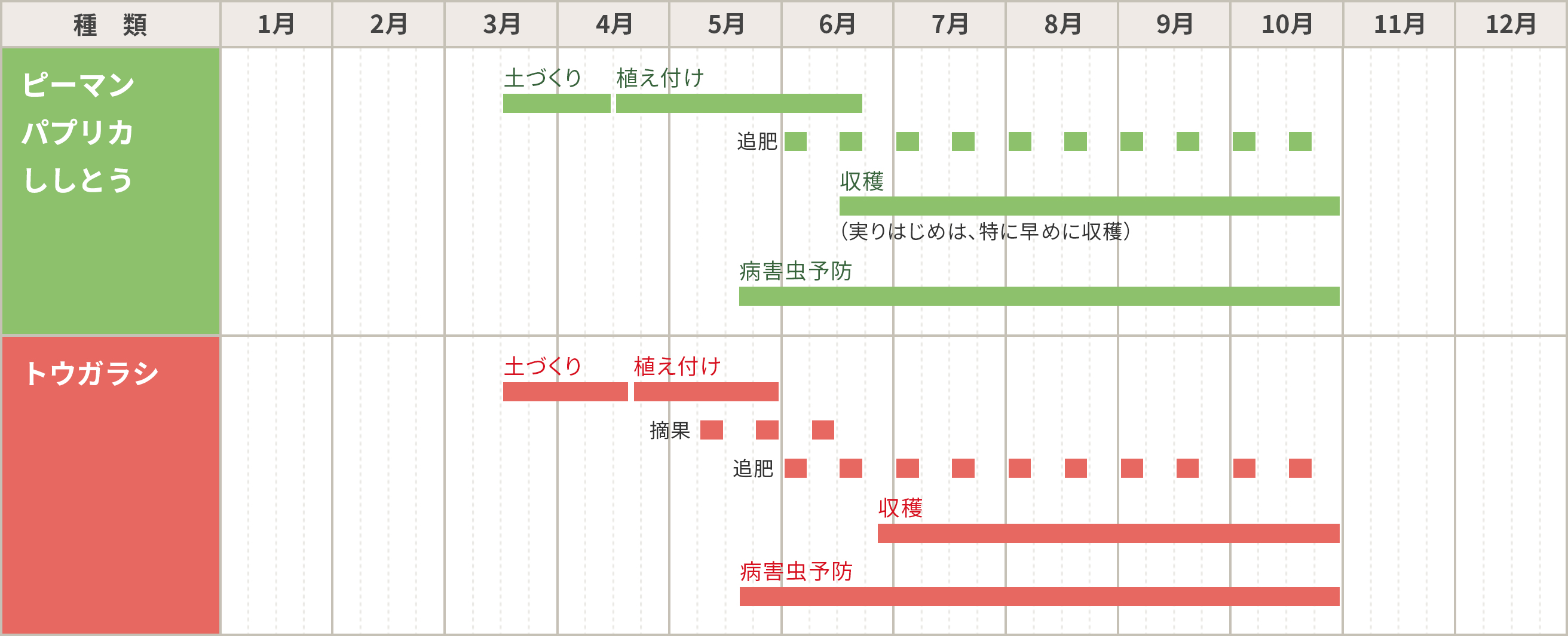 ピーマン・パプリカ・ししとう・トウガラシの栽培カレンダー