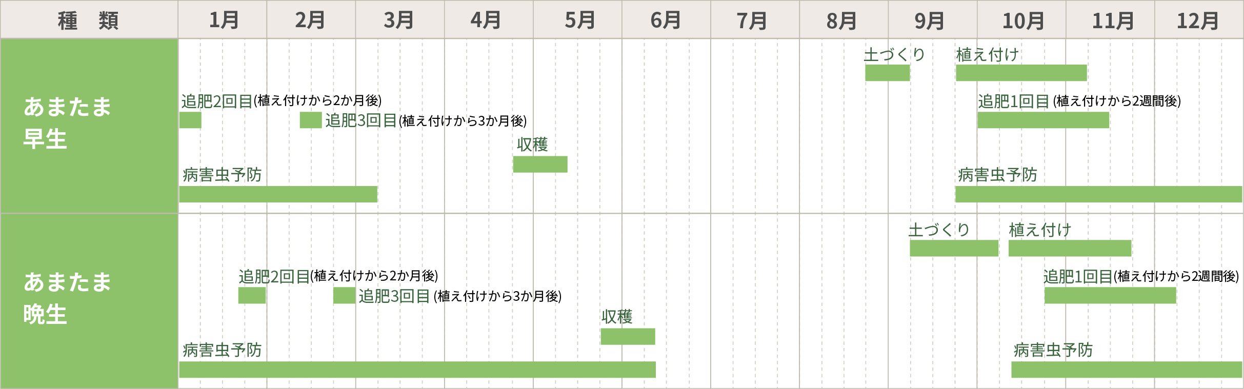 あまたまの栽培カレンダー