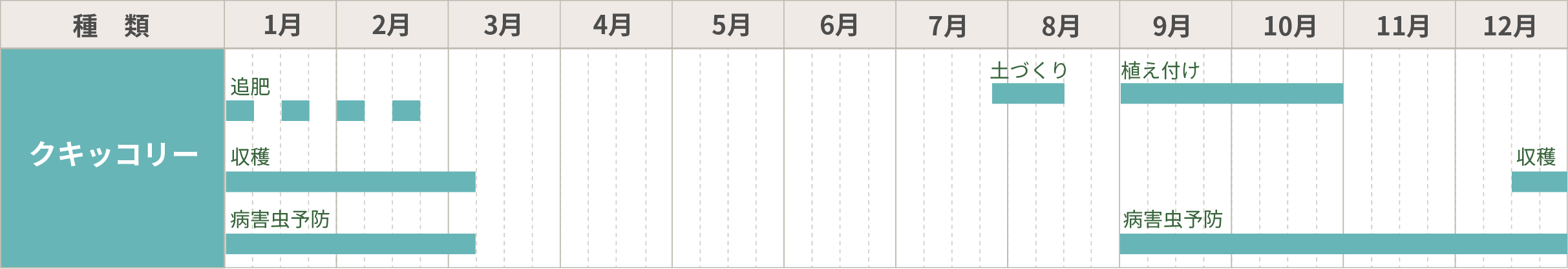 クキッコリーの栽培カレンダー