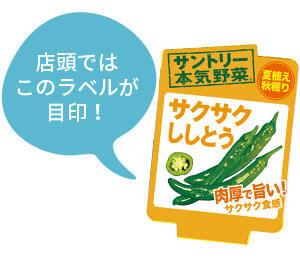サクサクししとう