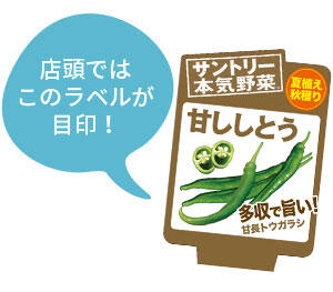 甘ししとう