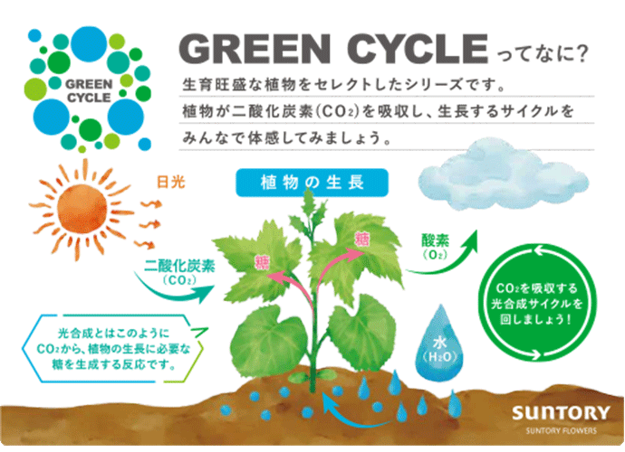 GREEN CYCLE