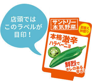 本格激辛ハラペーニョ