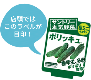 ポリッキュ