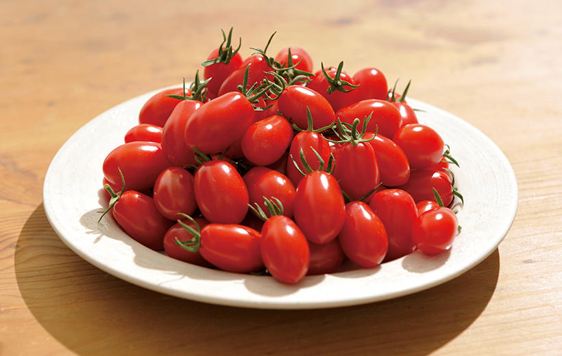 本気野菜 トマト あまさセレクト 野菜苗 | 家庭菜園 | サントリー 