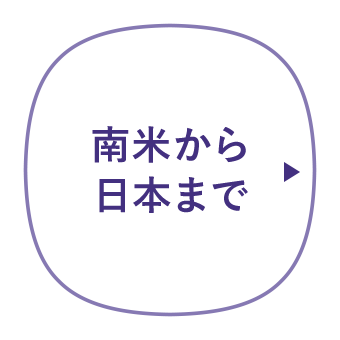 南米から日本まで