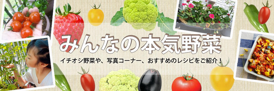 みんなの本気野菜