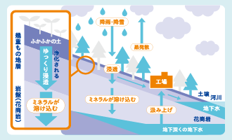 20年もの歳月をかけて磨かれた清冽な天然水