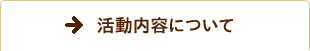 活動内容について