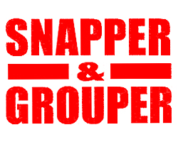 ｓｎａｐｐｅｒ ｇｒｏｕｐｅｒ スナッパーアンドグルーパー 東京駅 有楽町 日比谷 Bar Navi