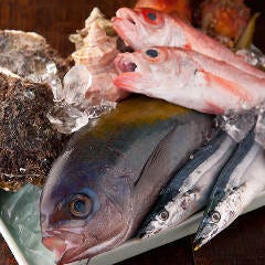 産直地魚と農園野菜 煉 居酒屋 神泡達人店 サントリーグルメガイド