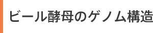 ビール酵母のゲノム構造