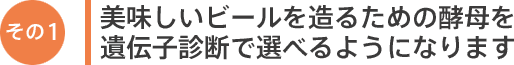 美味しいビールを造るための酵母を遺伝子診断で選べるようになります