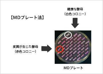 MDプレート法